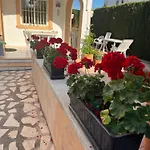 Apartamento Bougain-casa